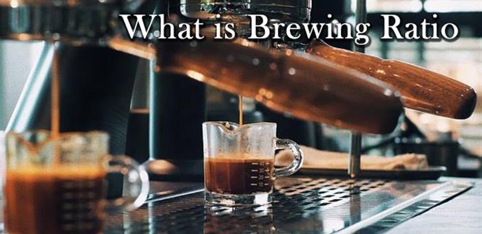 มาทำความรู้จักกับ Brewing Ratio // What is the Brewing Ratio