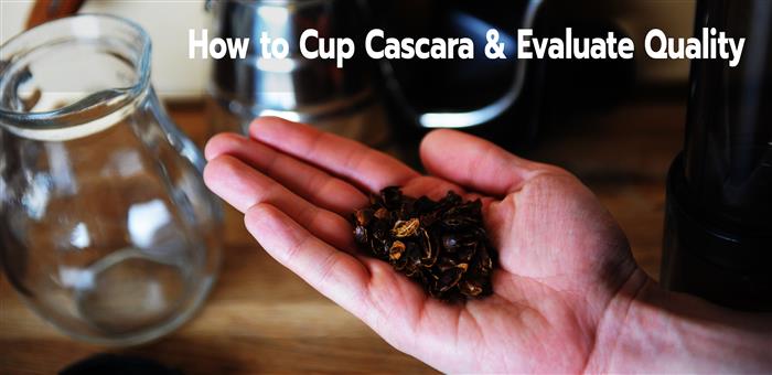 What is Cascara 