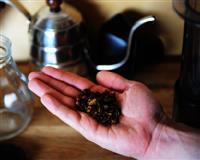 What is Cascara 