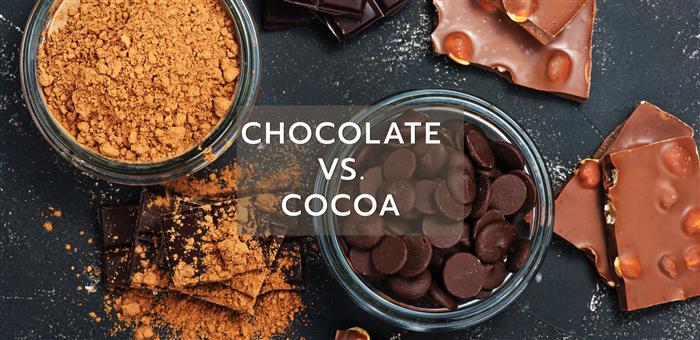 Chocolate vs. Cocoa 