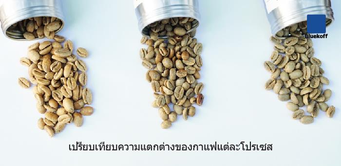 เปรียบเทียบความแตกต่างของกาแฟแต่ละโปรเซส