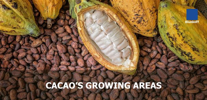 Cacao’s growing areas