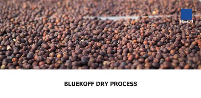 Bluekoff Dry process