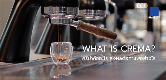 What is Crema? ครีม่าคืออะไร ส่งผลต่อกาแฟอย่างไร