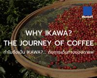 WHY IKAWA? THE JOURNEY OF COFFEE l ทำไมถึงเป็น IKAWA?.... กับการเดินทางของกาแฟ