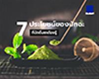 7 ประโยชน์ของมัทฉะ ที่นักดื่มชาต้องรู้